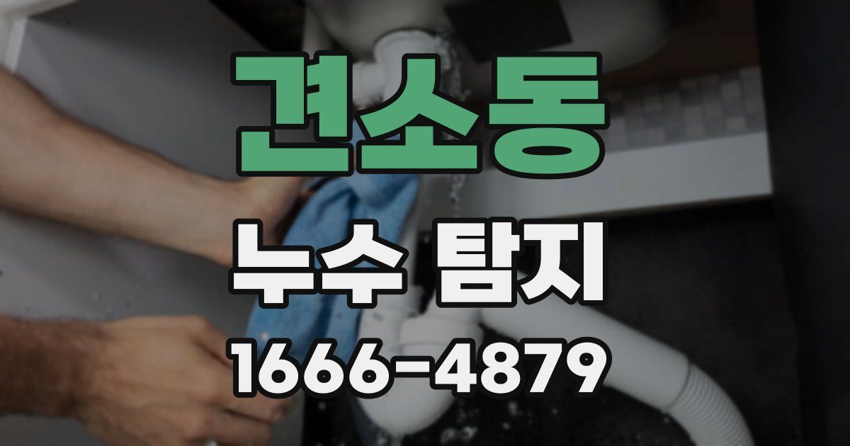 견소동 누수 탐지