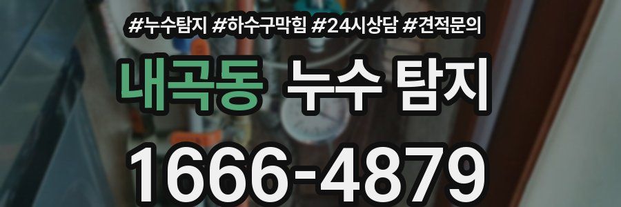 내곡동 누수 탐지