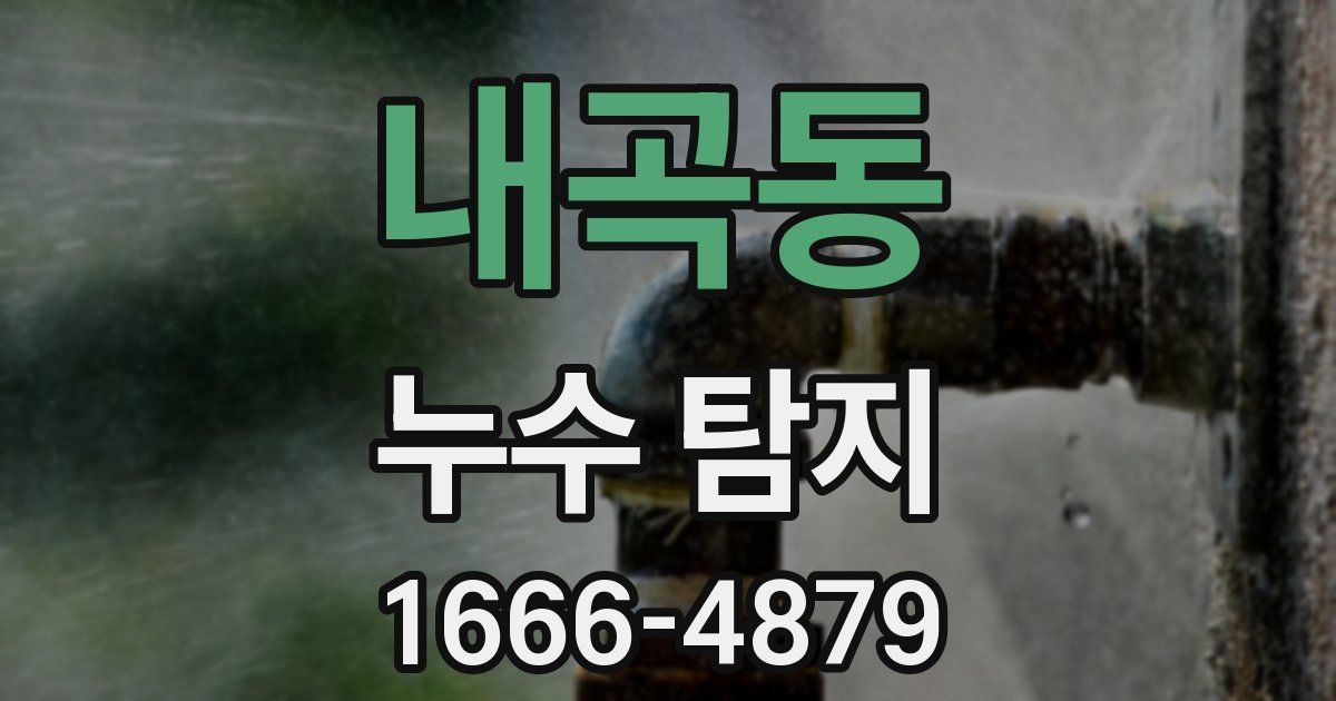 내곡동 누수 탐지