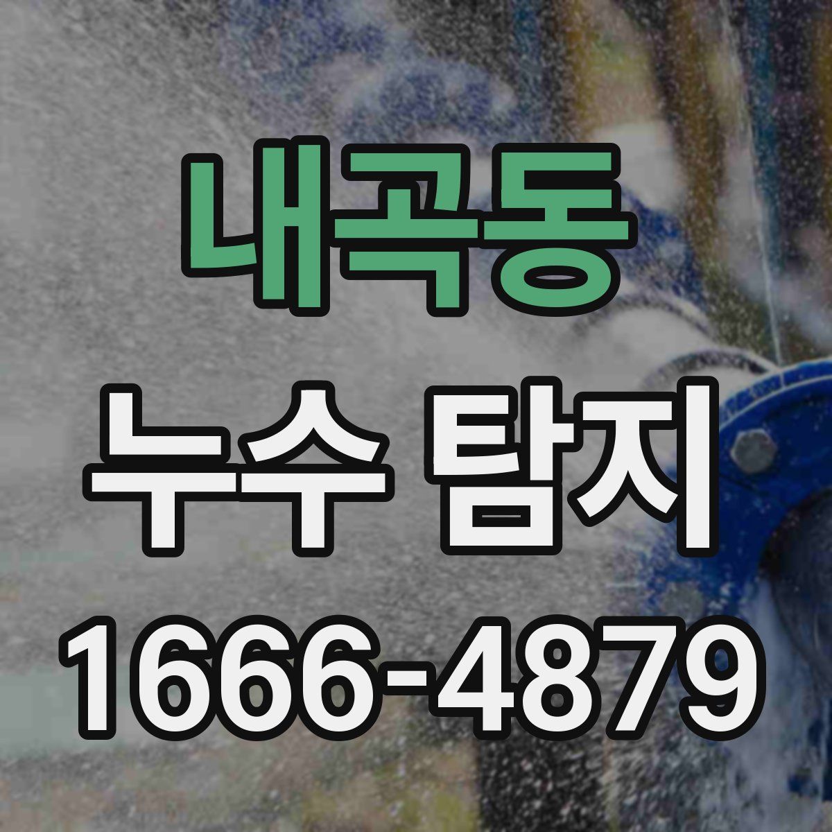 내곡동 누수 탐지