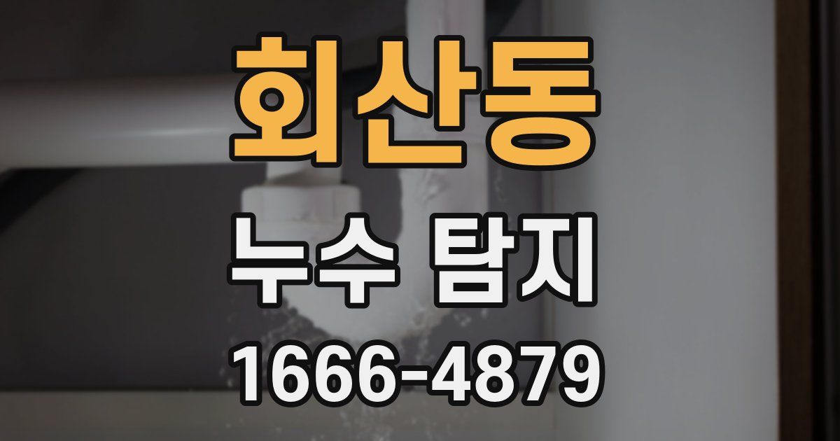 회산동 누수 탐지