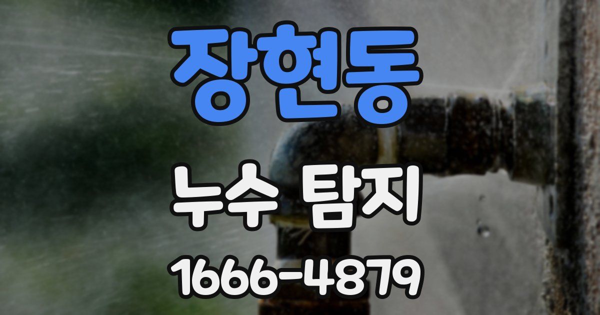 장현동 누수 탐지