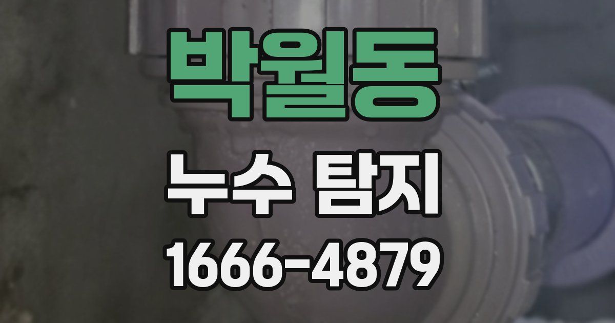박월동 누수 탐지