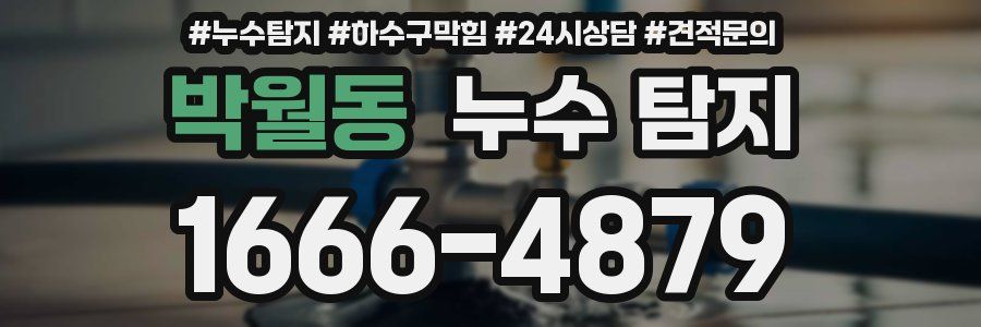 박월동 누수 탐지