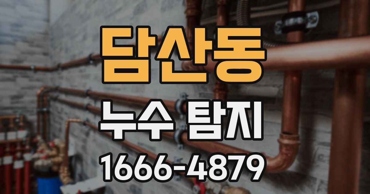담산동 누수 탐지