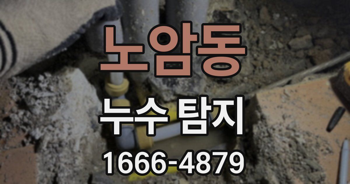 노암동 누수 탐지