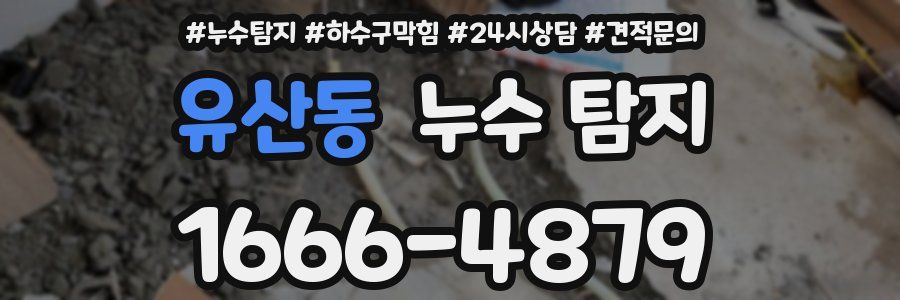 유산동 누수 탐지