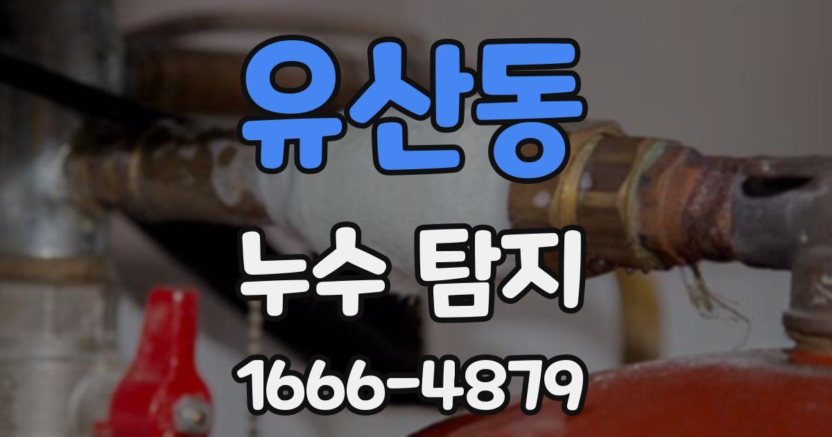 유산동 누수 탐지