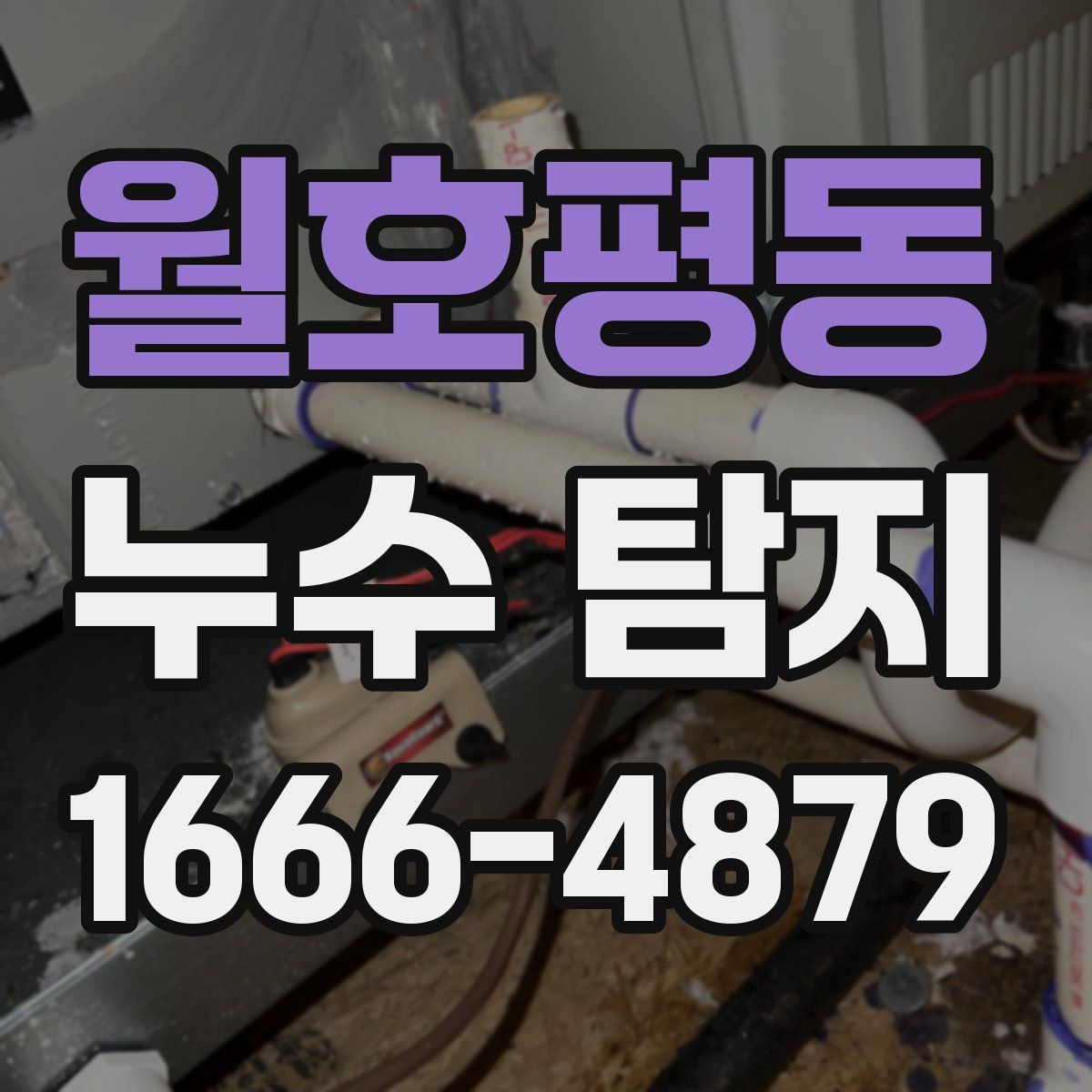 월호평동 누수 탐지