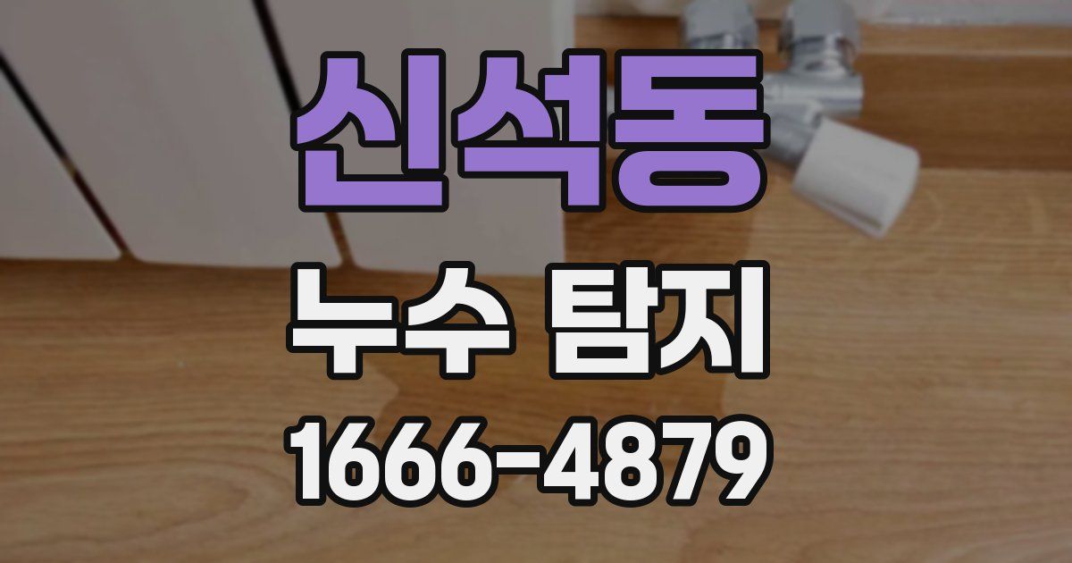 신석동 누수 탐지