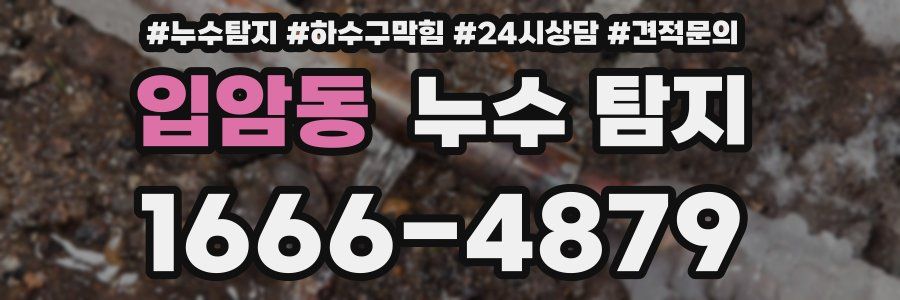 입암동 누수 탐지