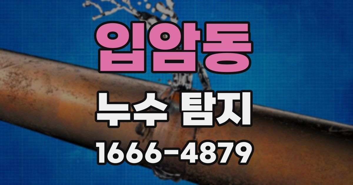 입암동 누수 탐지