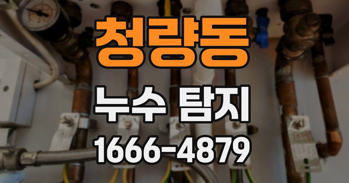 청량동 누수 탐지
