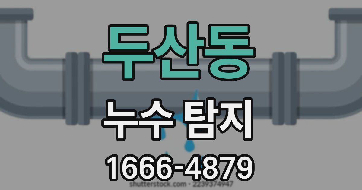 두산동 누수 탐지