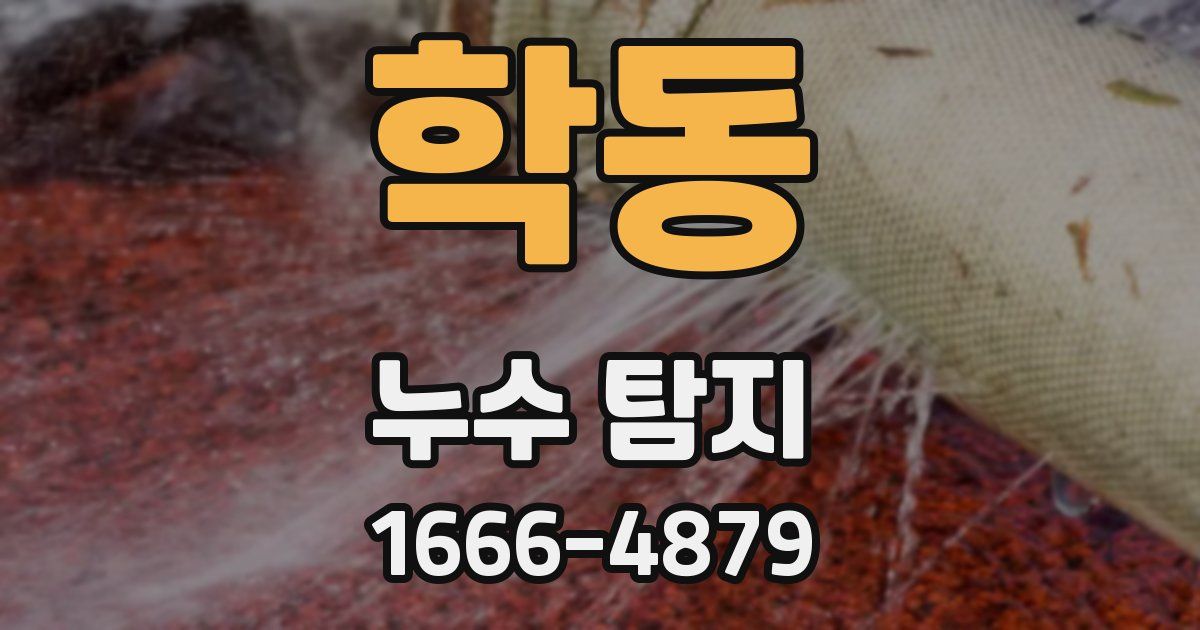 학동 누수 탐지