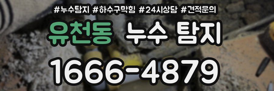 유천동 누수 탐지