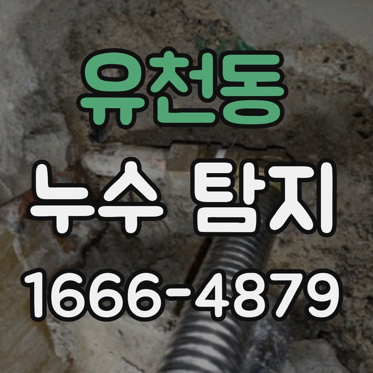 유천동 누수 탐지
