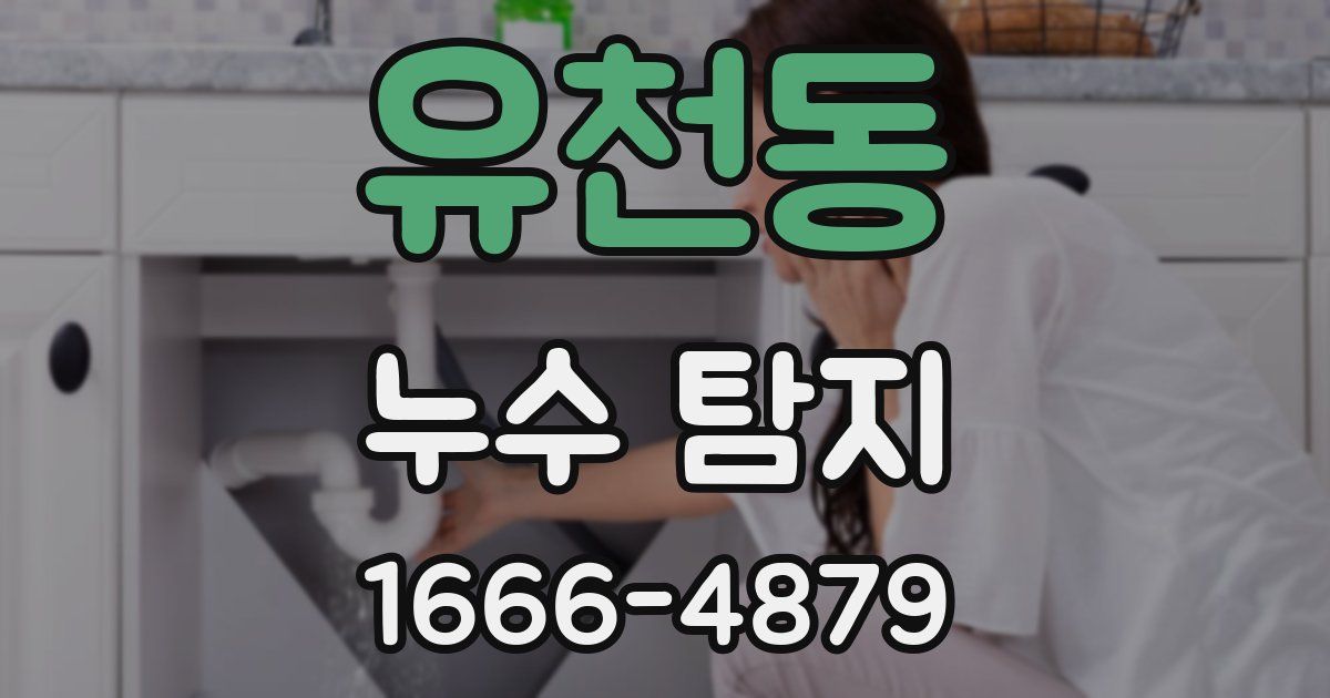 유천동 누수 탐지