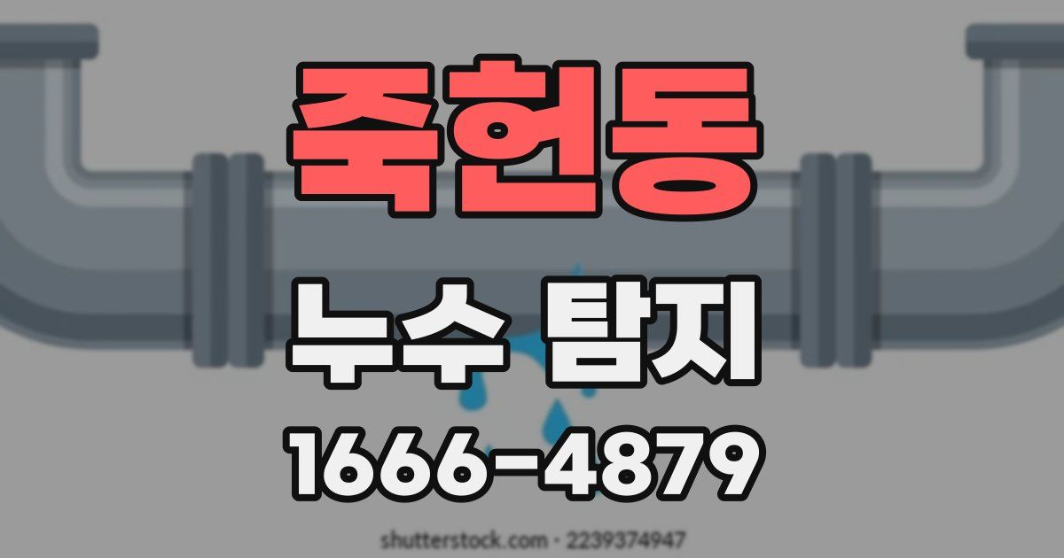 죽헌동 누수 탐지
