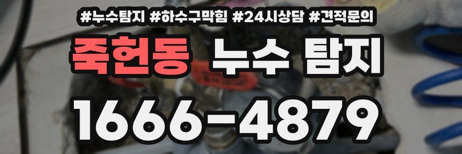 죽헌동 누수 탐지