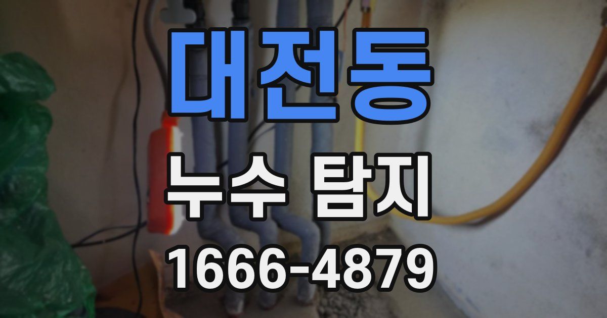 대전동 누수 탐지