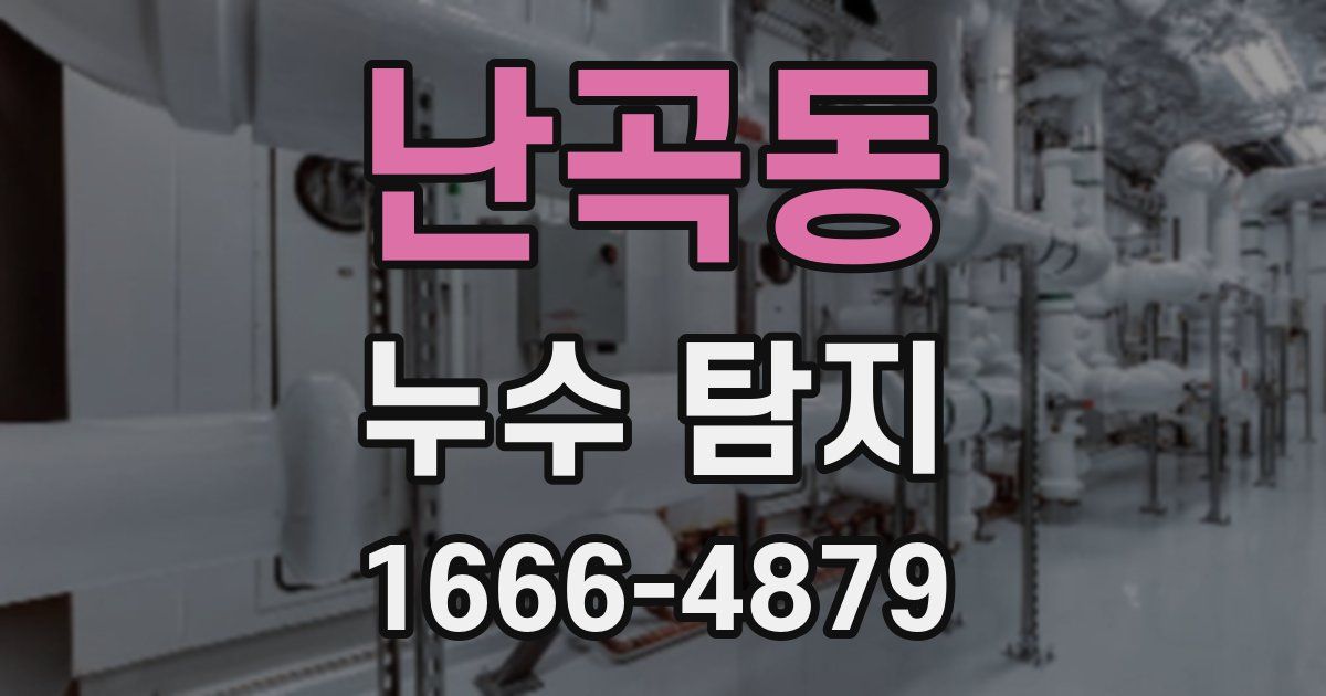 난곡동 누수 탐지