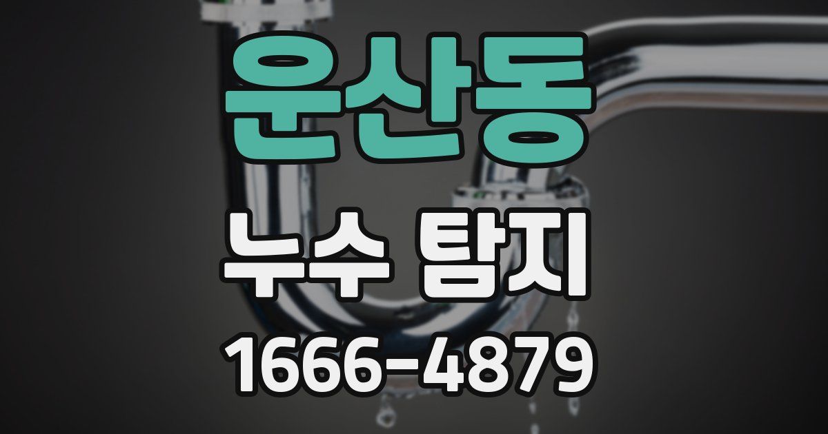 운산동 누수 탐지