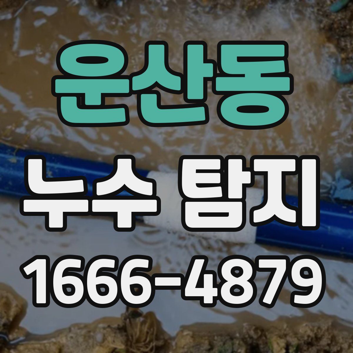 운산동 누수 탐지