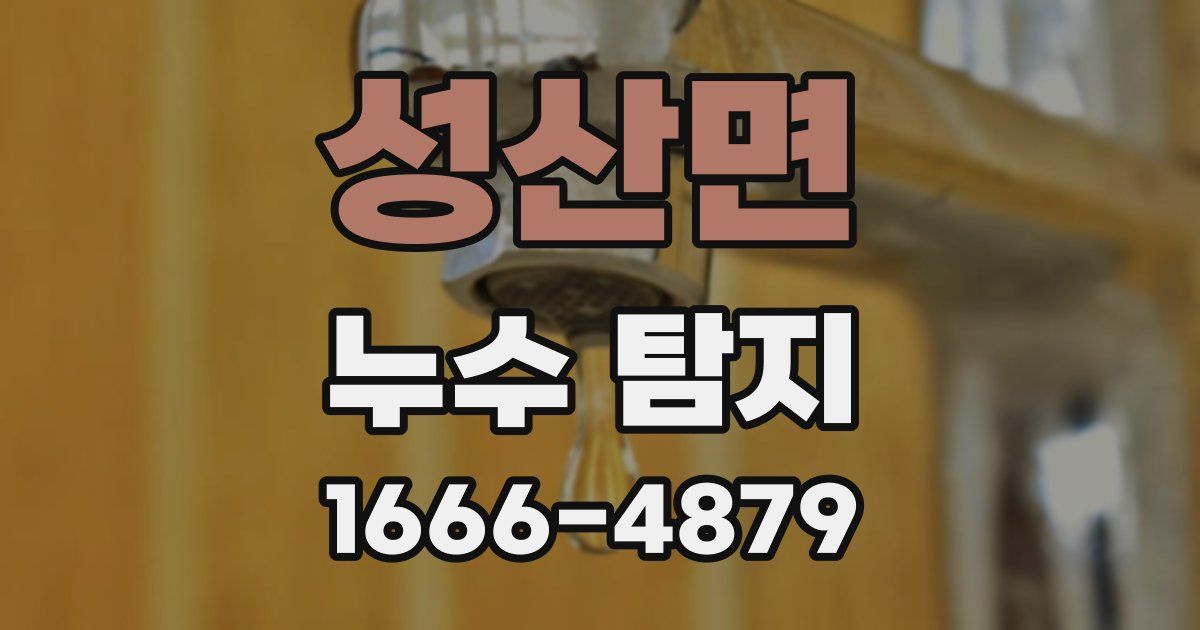 성산면 누수 탐지