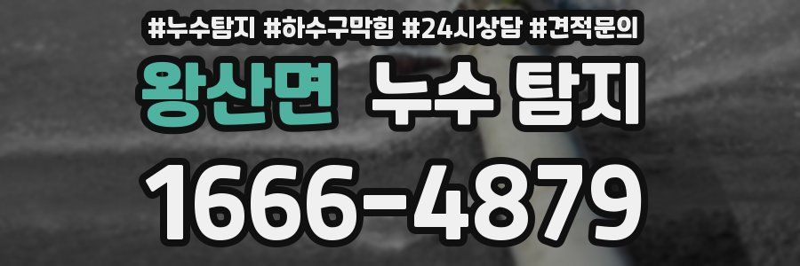 왕산면 누수 탐지