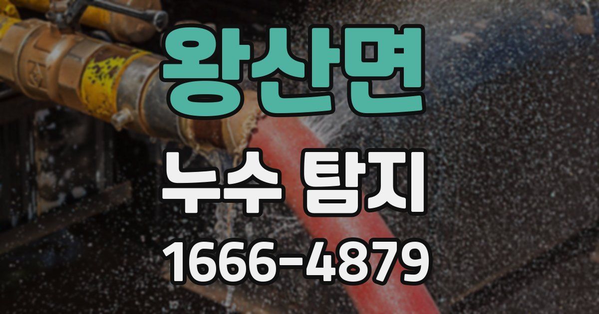 왕산면 누수 탐지