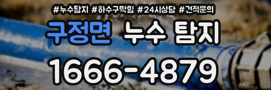 구정면 누수 탐지