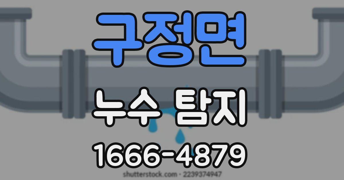 구정면 누수 탐지