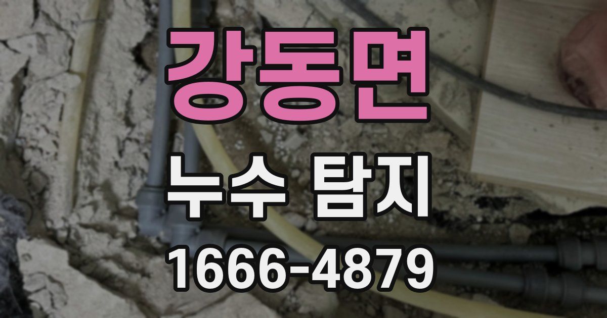 강동면 누수 탐지