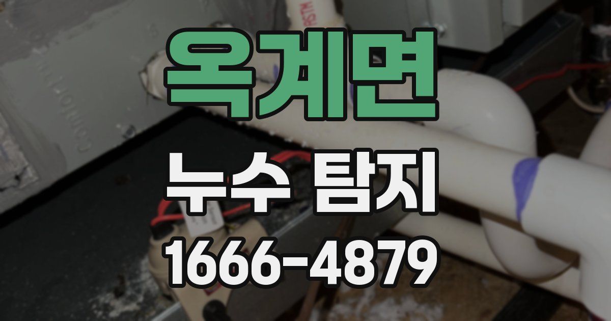 옥계면 누수 탐지