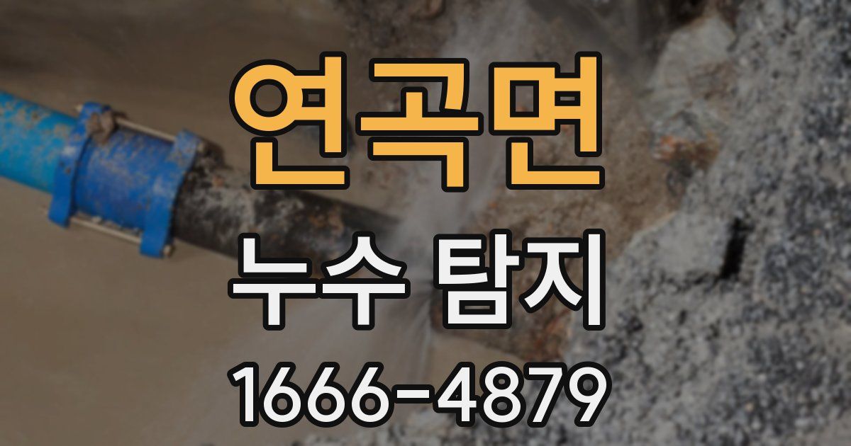 연곡면 누수 탐지