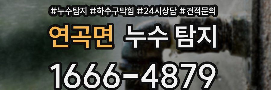 연곡면 누수 탐지