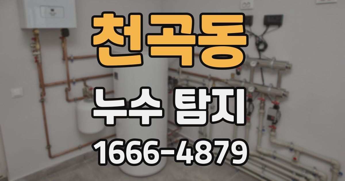 천곡동 누수 탐지