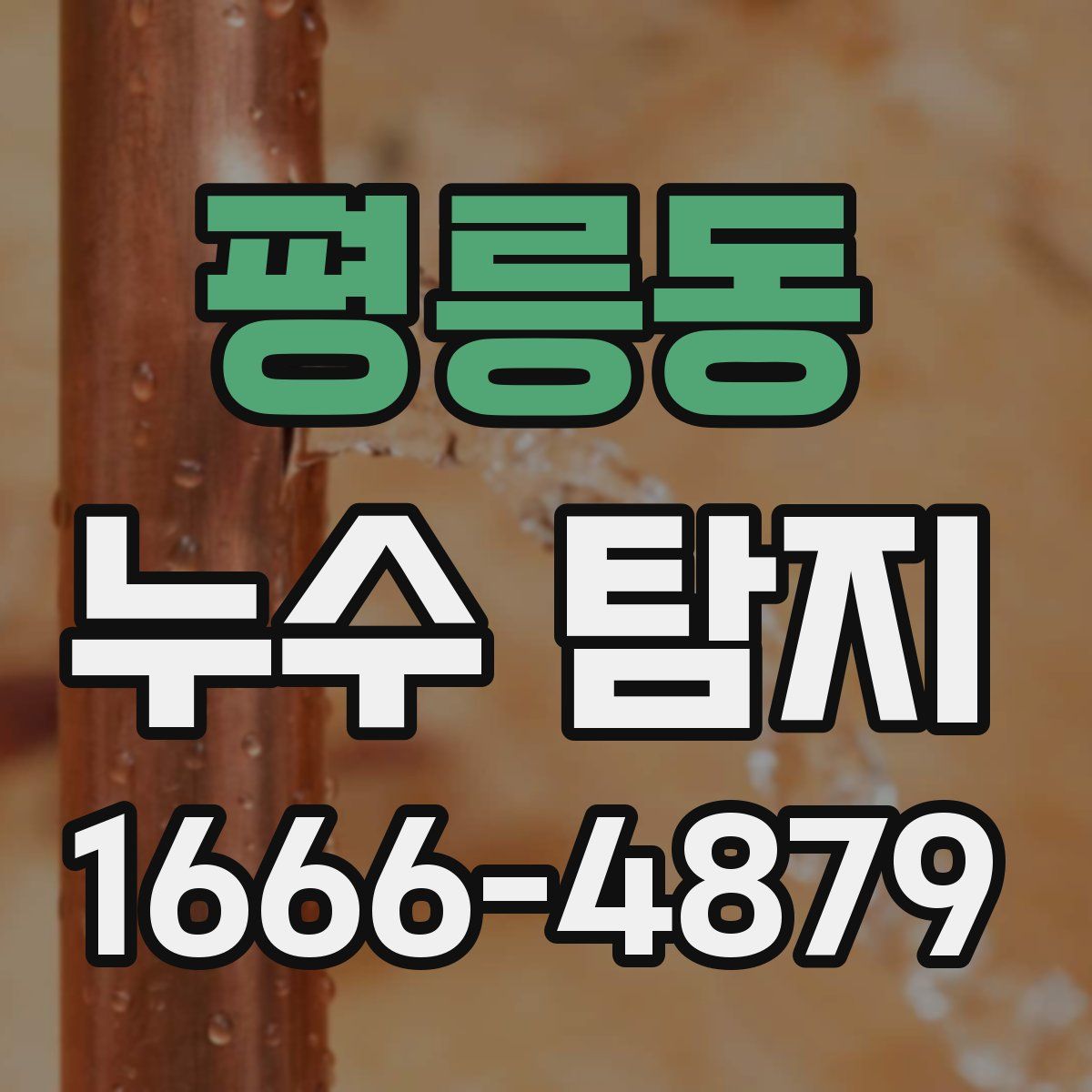 평릉동 누수 탐지