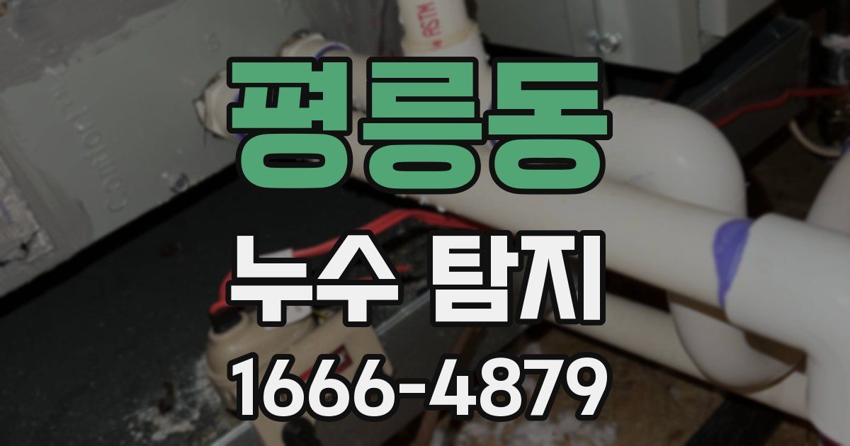 평릉동 누수 탐지
