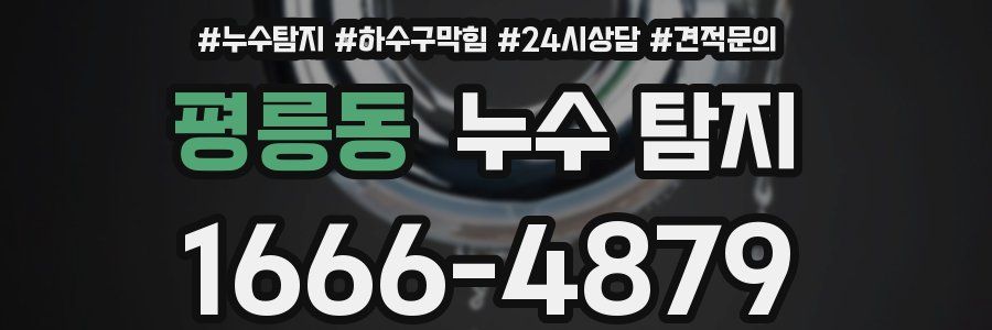 평릉동 누수 탐지