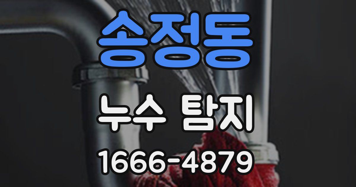 송정동 누수 탐지