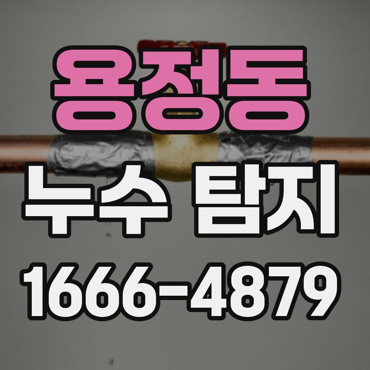 용정동 누수 탐지