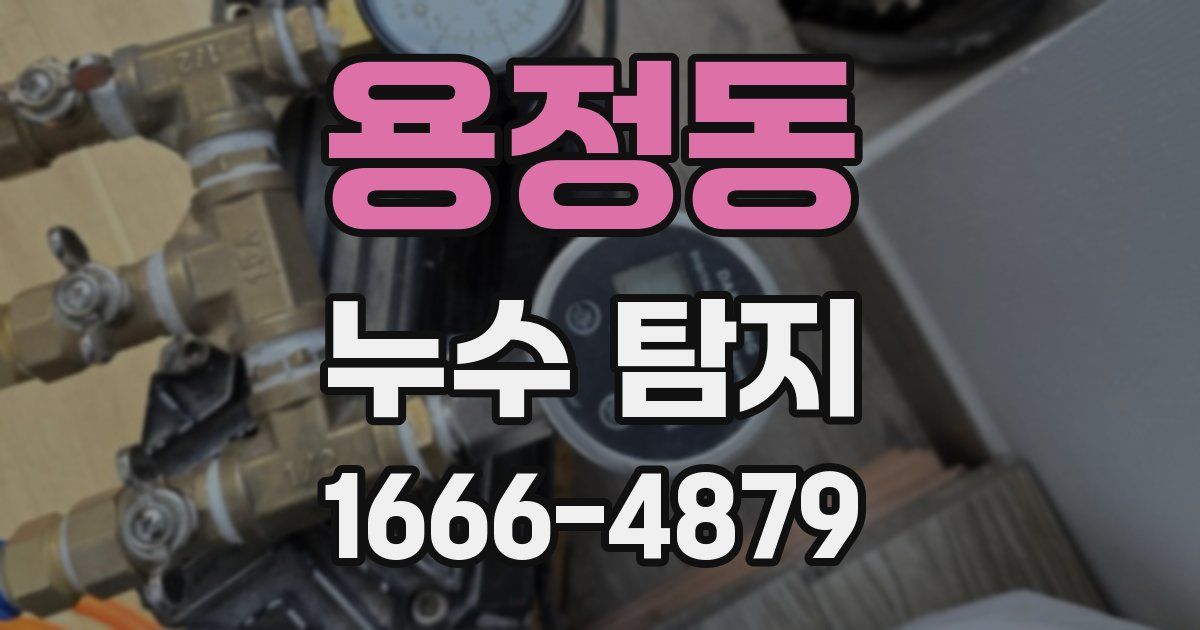 용정동 누수 탐지