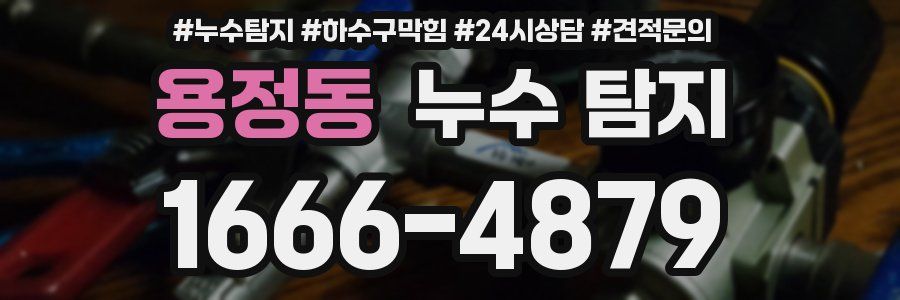 용정동 누수 탐지