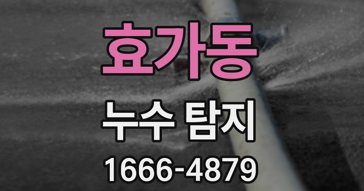 효가동 누수 탐지