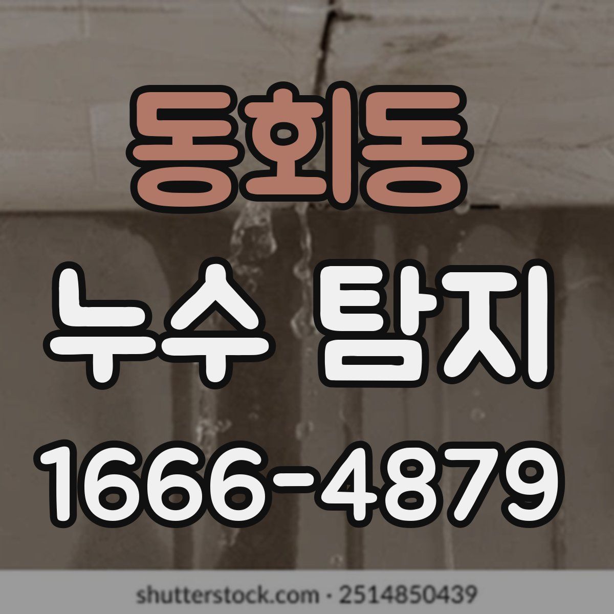 동회동 누수 탐지