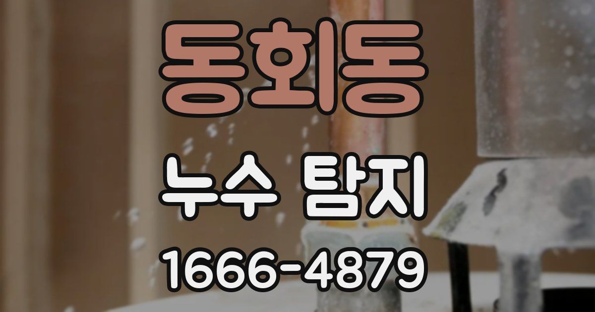 동회동 누수 탐지