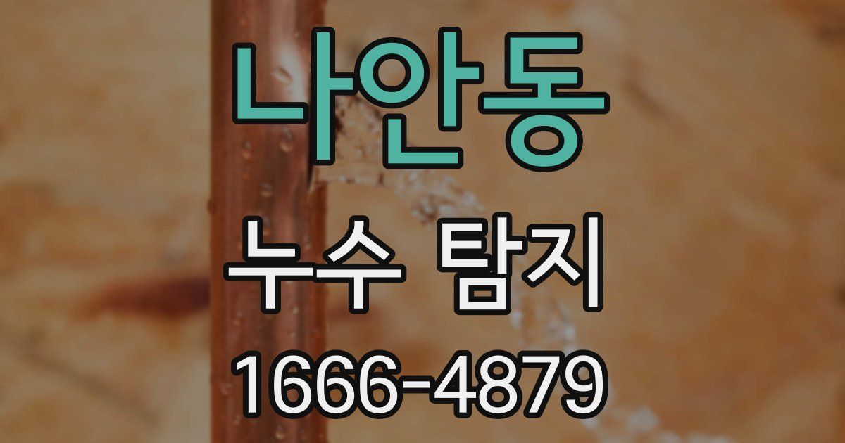 나안동 누수 탐지