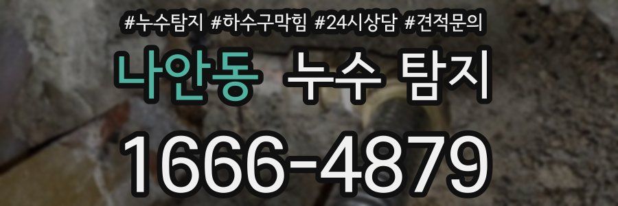 나안동 누수 탐지